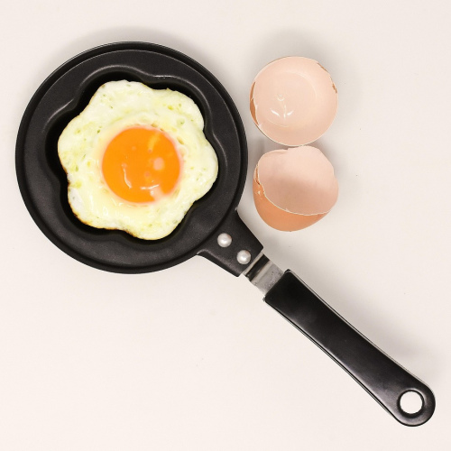 Howleys Organic Free-Range Eggs